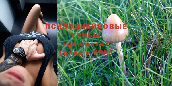 PSILOCYBIN Беломорск