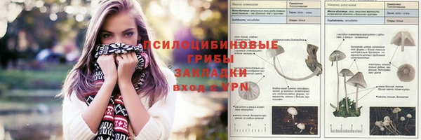 стафф Белокуриха