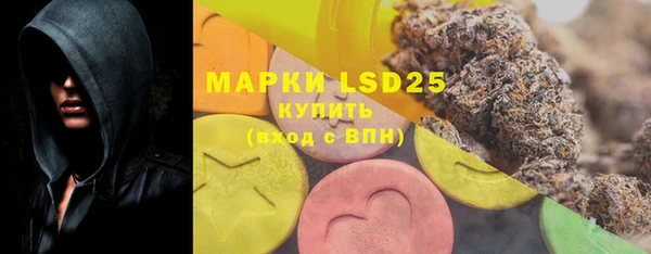 PSILOCYBIN Беломорск