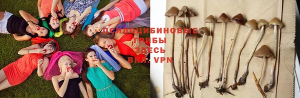 стафф Белокуриха