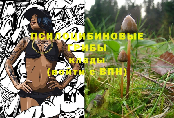 PSILOCYBIN Беломорск